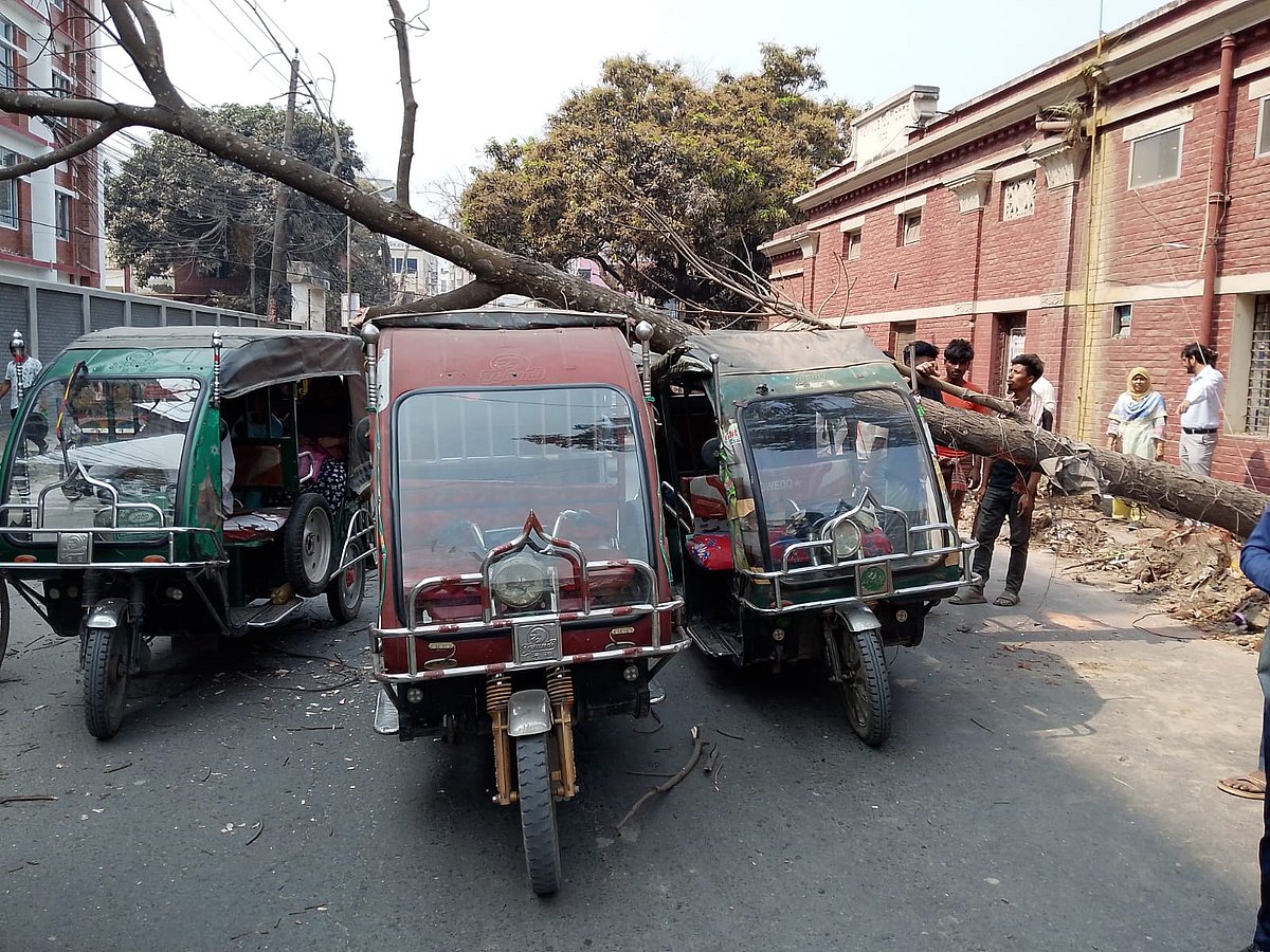 ফরিদপুর শহরের মুজিব সড়কের ওপর একটি মেহগনিগাছ তিনটি ইজিবাইকের ওপর ভেঙে পড়ে। আজ বৃহস্পতিবার