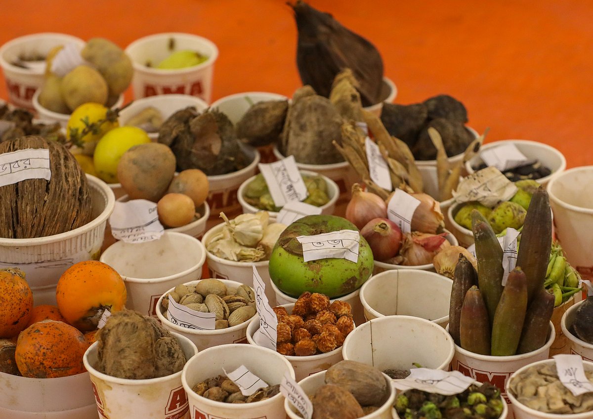 গ্রামীণ বীজমেলা