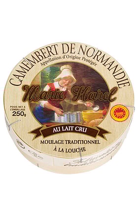 ফরাসি স্বাদসাম্রাজ্যে পনিরের রাজত্ব ৮