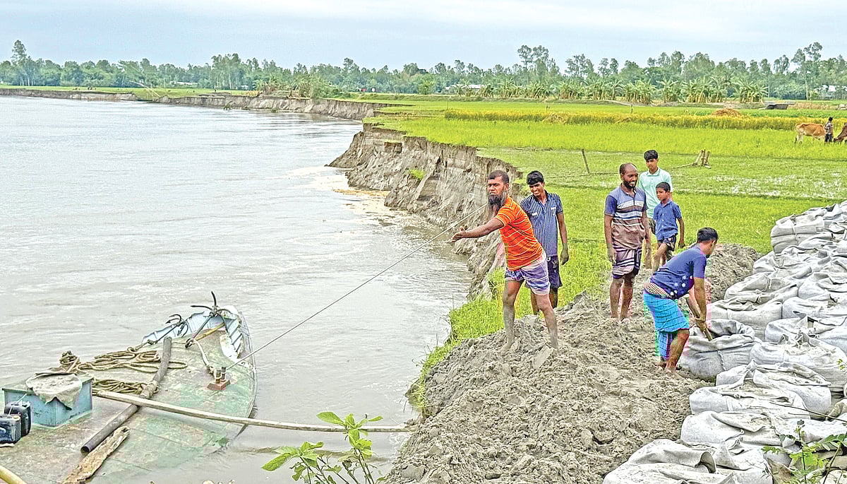মাদারগঞ্জ উপজেলার একটি গ্রামে যমুনার পাড় ভাঙছে। ট্রলারে আনা বালুর বস্তা দিয়ে ভাঙন ঠেকানোর চেষ্টা করছেন স্থানীয়রা
