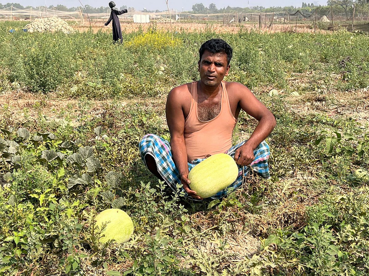নিজের খেতে তরমুজ হাতে চাষি মোহাম্মদ ফোরকান। আজ বেলা ১১টার দিকে চট্টগ্রামের আনোয়ারার রায়পুর ইউনিয়নের ফুলতলী গ্রামে