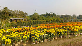 শূন্য হাতে শুরু, মোস্তাফিজুরের এখন বছরে আয় ১০ লাখ টাকা