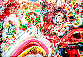 ‘নাচুনে সিংহ’ সেজে চোর ধরল পুলিশ