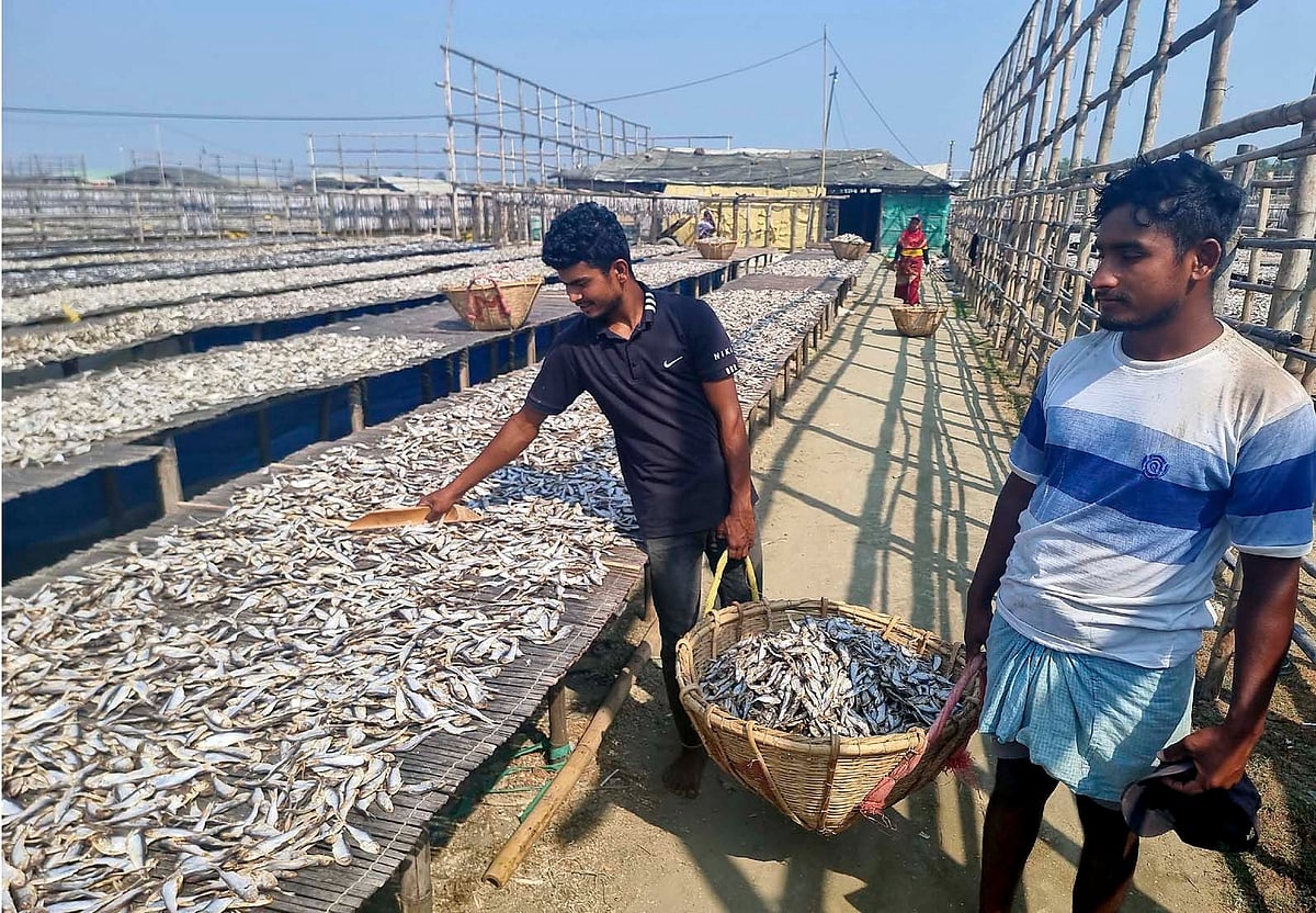 কক্সবাজার শহরের নাজিরারটেক উপকূলের একটি মহালে শুঁটকি তৈরিতে ব্যস্ত দুই শ্রমিক। মাছ সংকটের কারণে এই এলাকার অন্তত ৬০০টি মহালে শুঁটকি উৎপাদন বন্ধ আছে।  গত রোববার দুপুরে