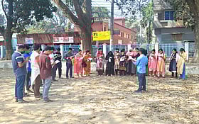 দল বেঁধে পড়ে চাকরির বাজারে সফল ঠাকুরগাঁওয়ের ‘স্টাডি গ্রুপ’