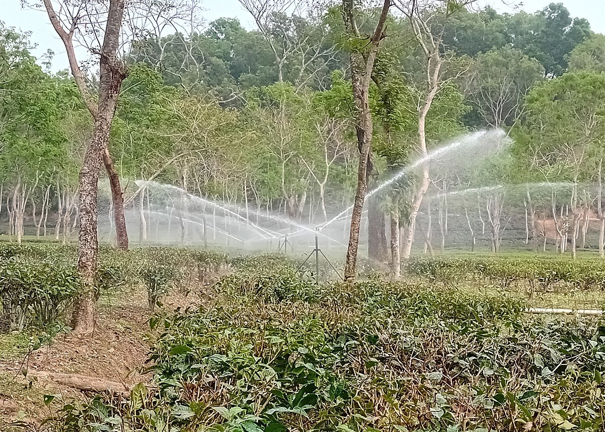 একঝলক (৩ মার্চ ২০২৬)