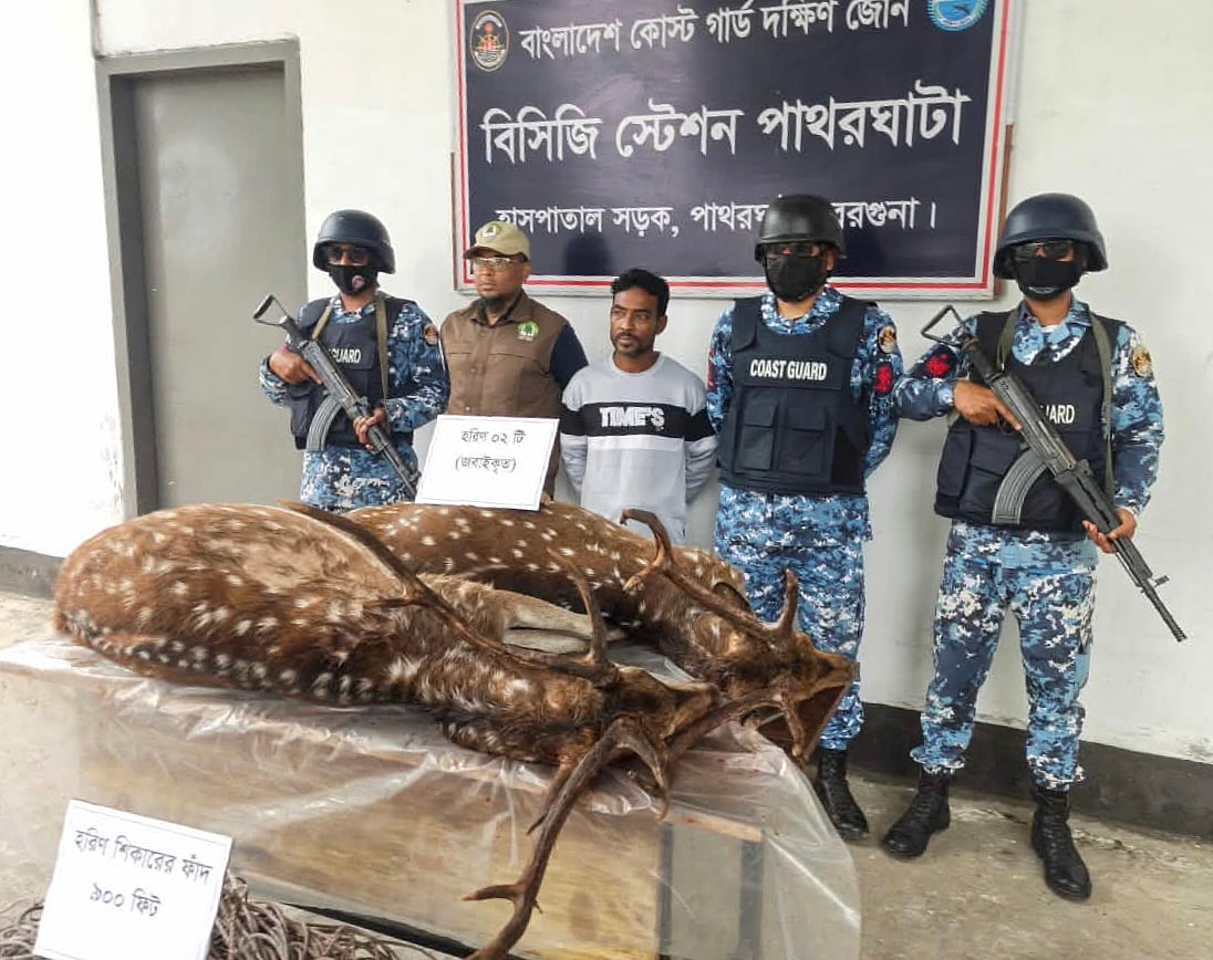 বরগুনার পাথরঘাটায় বন বিভাগের উদ্ধার করা মৃত হরিণসহ গ্রেপ্তার মো. হানিফা। গতকালের তোলা