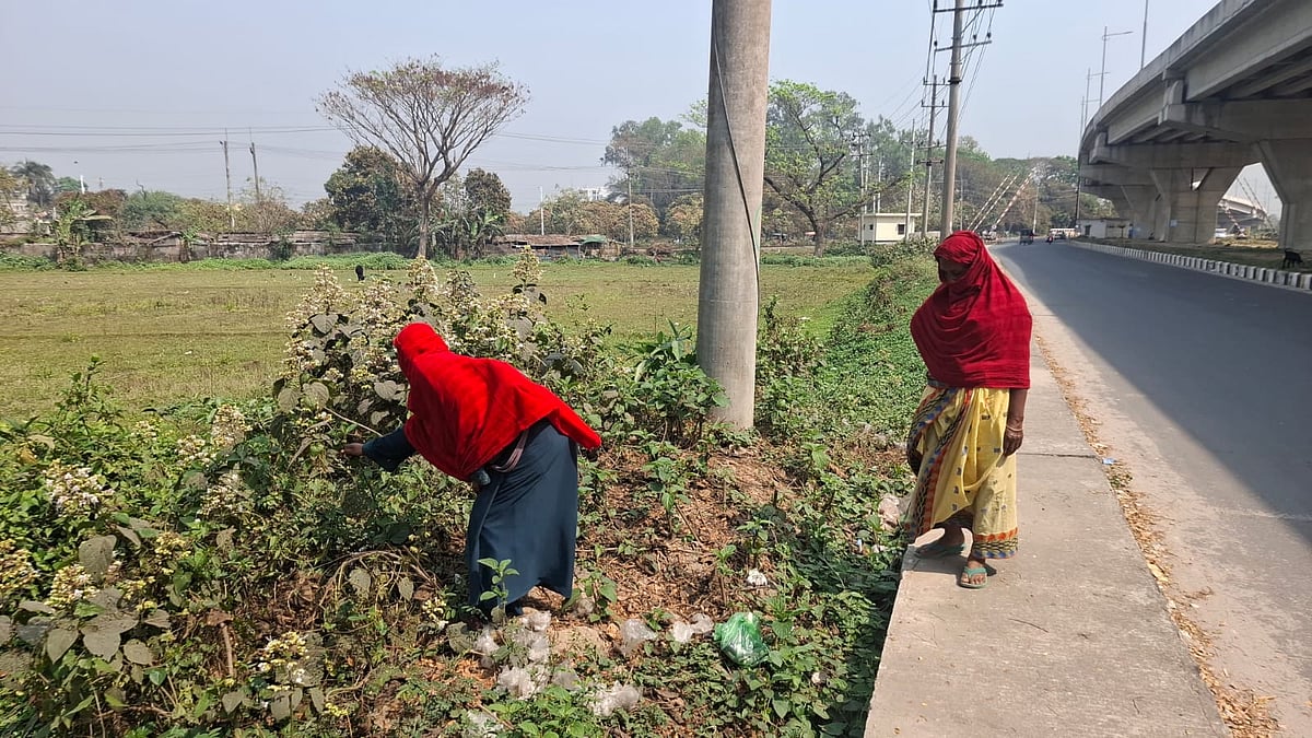 রাজশাহীতে ছিনতাইয়ের শিকার নারী জঙ্গল, ড্রেনসহ সন্দেহজনক বিভিন্ন জায়গায় খুঁজে বেড়াচ্ছেন কাগজপত্র। আজ বুধবার সকালে রাজশাহী নগরের ভদ্রা ফ্লাইওভারের নিচে
