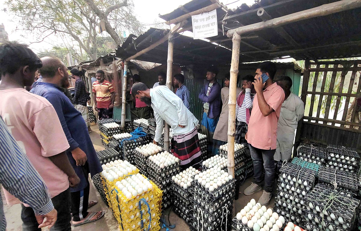 নাটোরের সিংড়ায় ডিমের পাইকারি বাজারে চলছে বেচাকেনা। গতকাল মঙ্গলবার সকালে তোলা