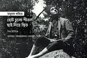 ছোট চুলো শীতল ছাই নিয়ে স্থিত
