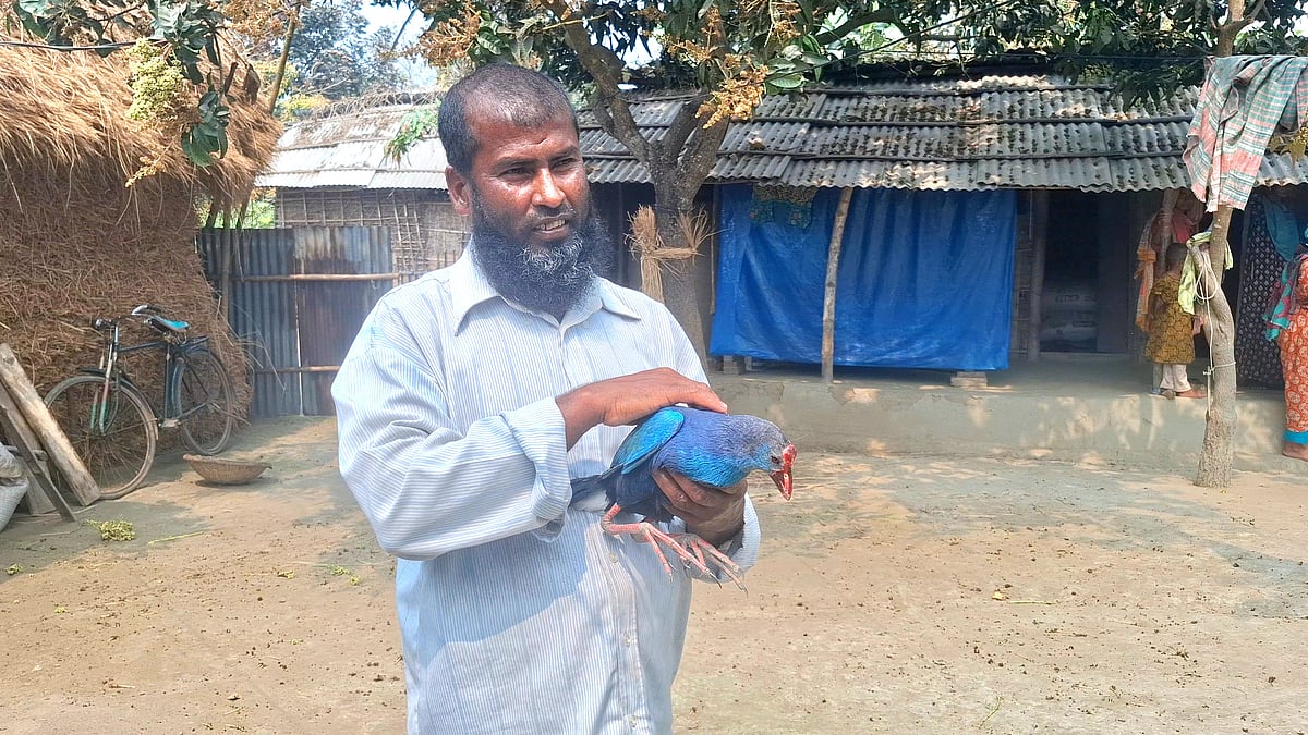 শামস উদ্দিনের হাতে কালিম পাখি। ঠাকুরগাঁওয়ের রানীশংকৈল উপজেলার ভন্ডগ্রামে