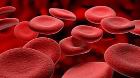 রক্তের নেগেটিভ গ্রুপ কি