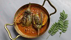 বেগুন বাহারের এখনই সময়