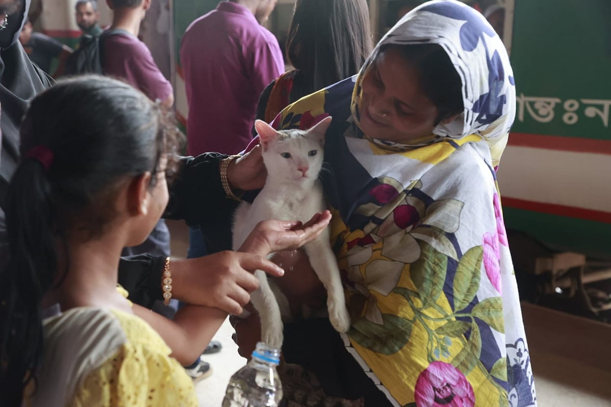 প্রিয়জনদের সঙ্গে ঈদ উদ্‌যাপনে বাড়ির পথে সঙ্গী হয়েছে পোষা বিড়ালটিও। বিমানবন্দর রেলওয়ে স্টেশন, ঢাকা