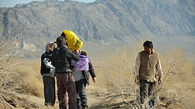 আফরান নিশো জেদ ধরে বললেন, ‘শুটিং চলবে’