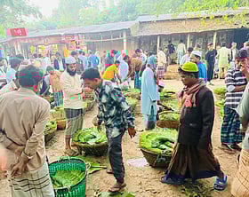 পান চাষে বদলে গেছে পাহাড়ি জনপদ শিলখালী, ফিরেছে সচ্ছলতা