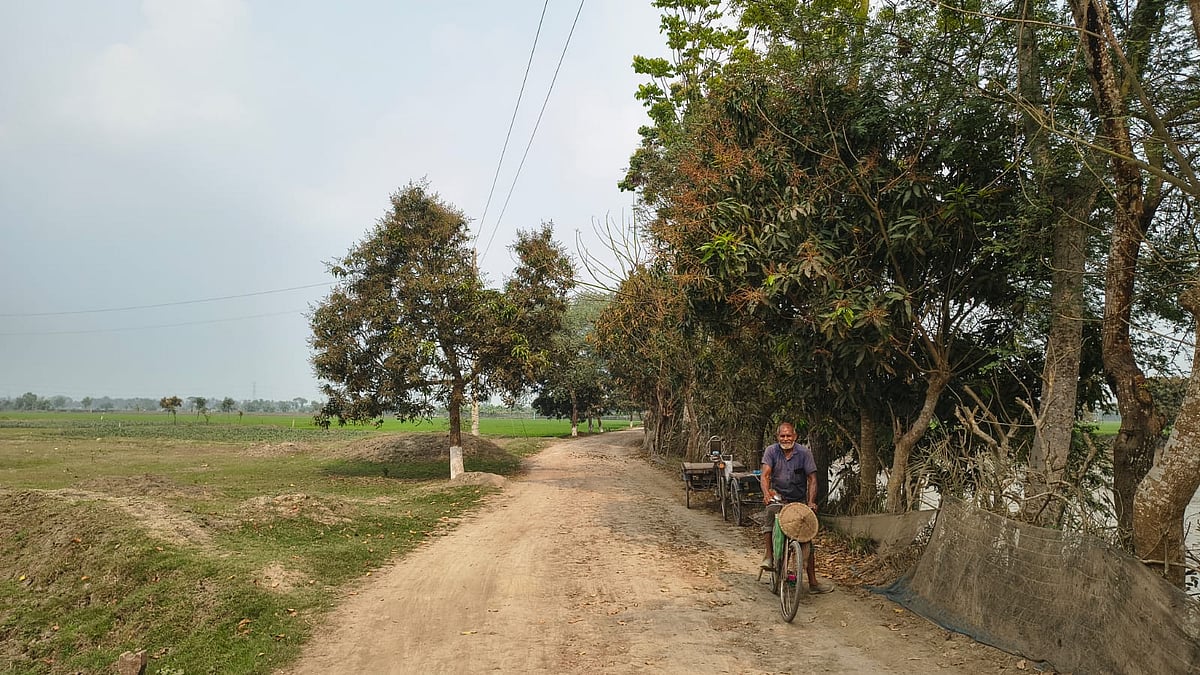 রূপদিয়া-খড়িচাডাঙ্গা-সুতিঘাটা আঞ্চলিক সড়কের প্রায় আট কিলোমিটারে আম গাছ লাগিয়েছেন আবদুল ওয়াহেদ সরদার। এসব গাছে এখন মুকুল ধরেছে