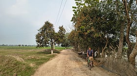 পশুপাখি-পরিবেশের অকৃত্রিম বন্ধু দিনমজুর ওয়াহেদ সরদার