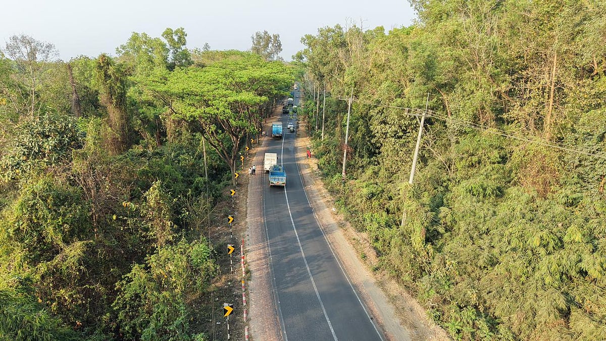 কক্সবাজার চট্টগ্রাম মহাসড়কের এই অংশ সড়কের পাশেই জঙ্গল ও ঝোপঝাড়। ফলে দেখা যায় না বাঁক। এা কারণে ঘটছে দুর্ঘটনা।  গতকাল বিকেলে লোহাগাড়ার চুনতি হাজী রাস্তার মাথা এলাকায়