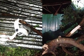 চুয়াডাঙ্গায় ঝড়ের কবলে পড়ে একজনের মৃত্যু, গাছ–বাড়ি–বৈদ্যুতিক খুঁটি ক্ষতিগ্রস্ত