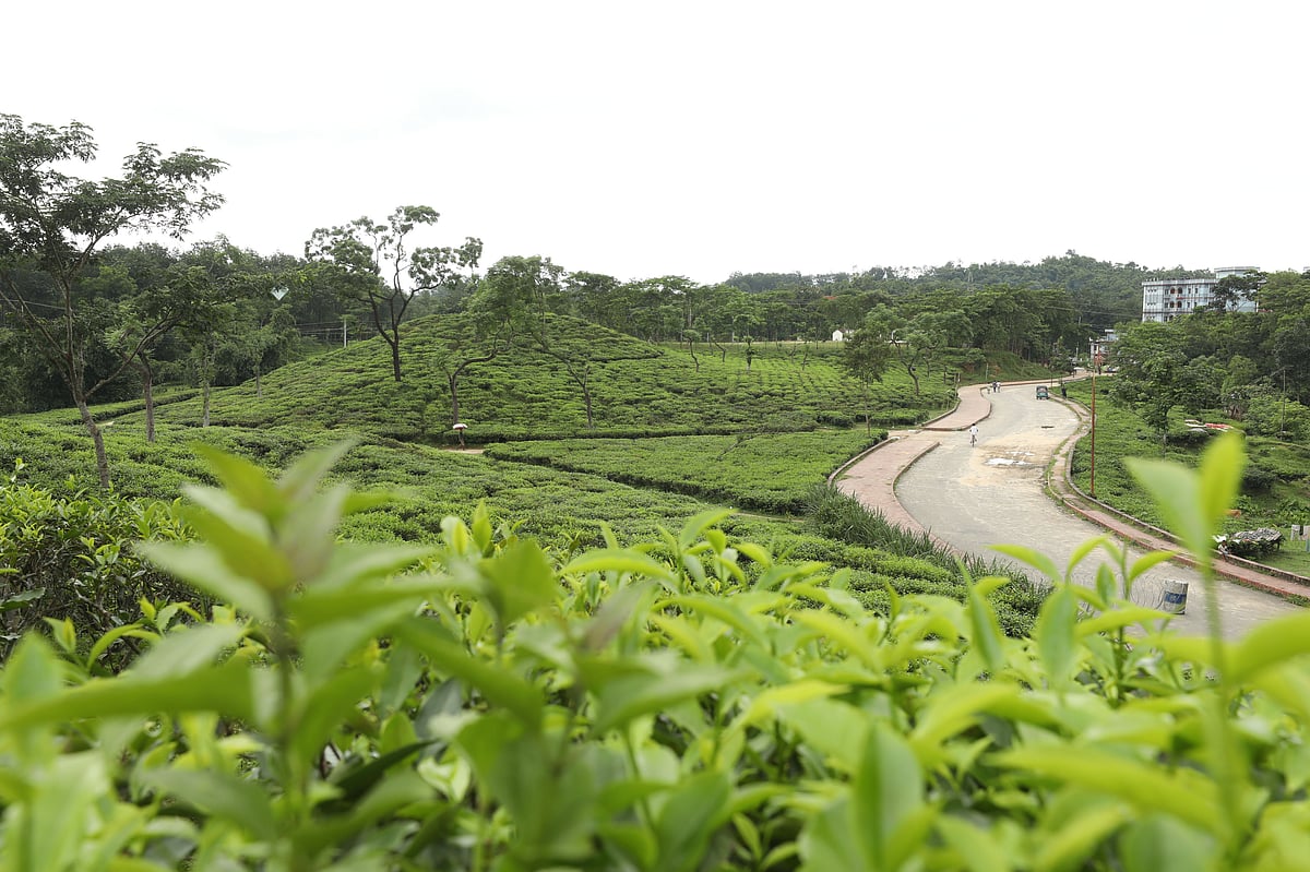 ঈদের আকর্ষণ সিলেটের পর্যটন