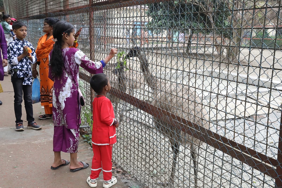 চিড়িয়াখানায় প্রাণী দেখতে শিশুদের ভিড়ই ছিল বেশি