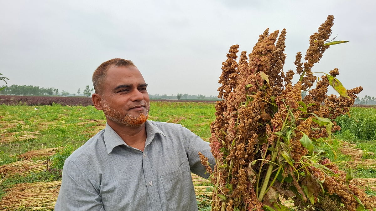 ঠাকুরগাঁওয়ের বালিয়াডাঙ্গীতে প্রথমবারের মতো কিনোয়া আবাদ শুরু হয়েছে। কিনোয়াগাছ দেখাচ্ছেন এক কৃষক। সম্প্রতি উপজেলার পাতিলাভাসা এলাকায়