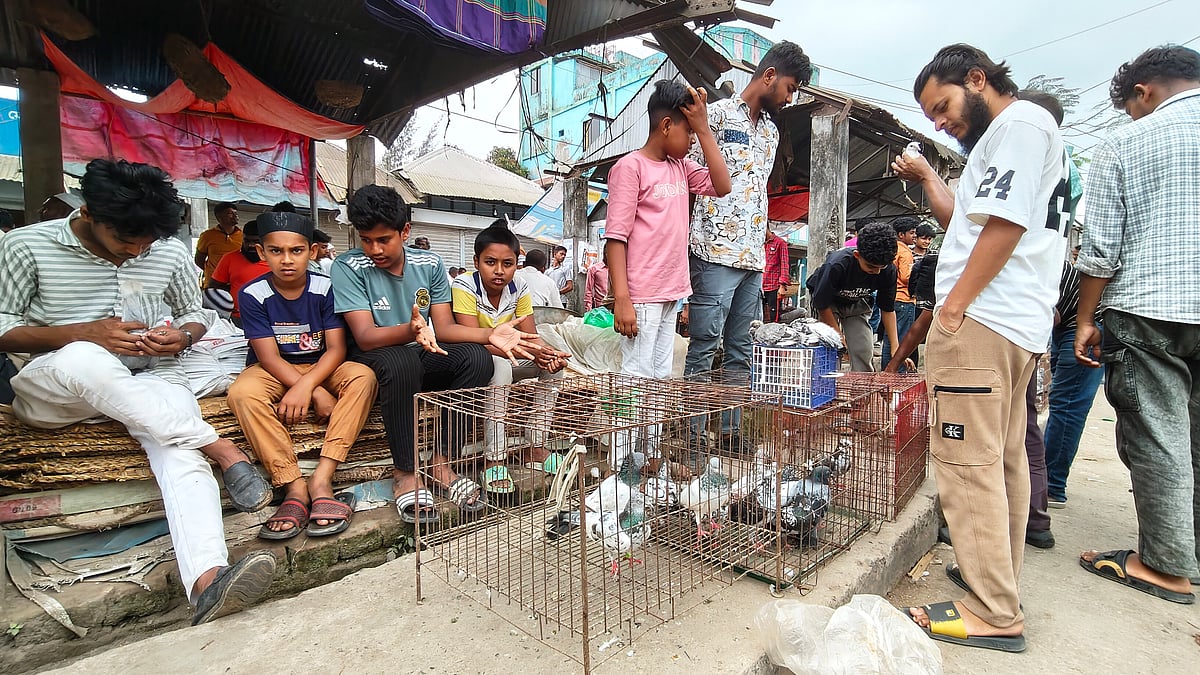 ভোজেশ্বর হাটে গিরিবাজ, সিরাজী, রেসিং, হোমার, টিপলার, ময়ূরপঙ্খি প্রভৃতি জাতের কবুতর পাওয়া যায়। শরীয়তপুরের নড়িয়া উপজেলায়