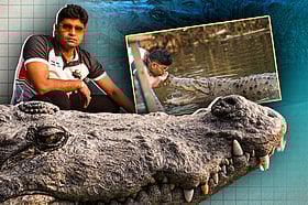 কুমিরের নাম ‘ধলাপাহাড়’, তার সঙ্গেই গড়ে উঠেছে মেহেদী হাসানের বন্ধুত্ব