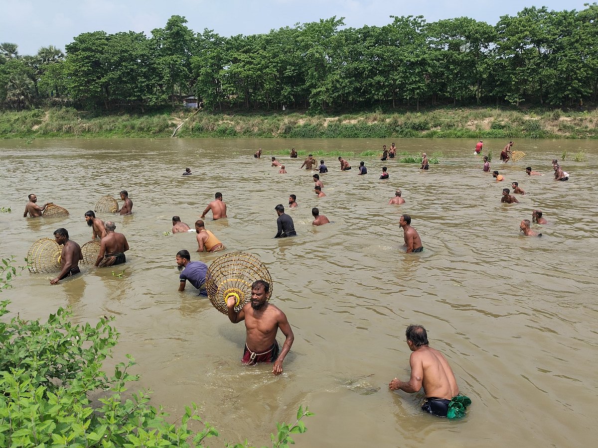 কুমিল্লা আদর্শ সদর উপজেলার আড়াইওড়া এলাকায় গোমতী নদীতে পলো দিয়ে মাছ ধরার উৎসব। মঙ্গলবার দুপুরে তোলা