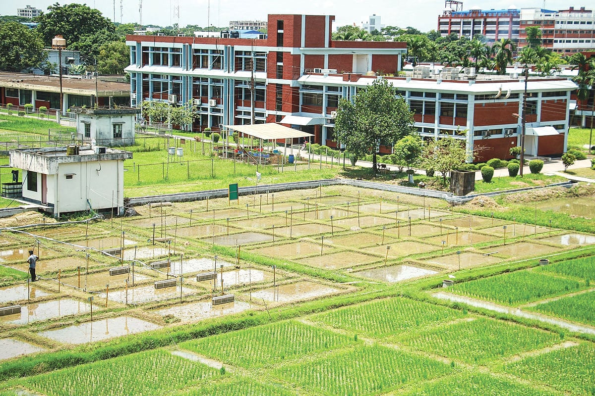 বাংলাদেশ ধান গবেষণা ইনস্টিটিউট