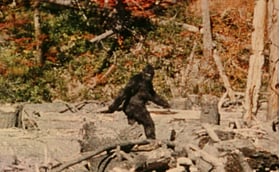 বনের দৈত্য বিগফুট আসলে কে