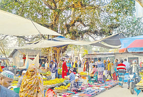 অশ্বত্থের ছায়ায় শতবর্ষী হাট