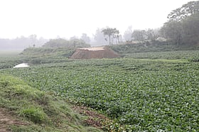 করতোয়ার প্রাণ ফেরাতে নতুন প্রকল্প নেওয়া হচ্ছে