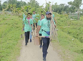 যেখানেই খালি জমি পান গাছ লাগান শিক্ষক মোস্তাক, পরিচর্যাও করেন নিয়মিত