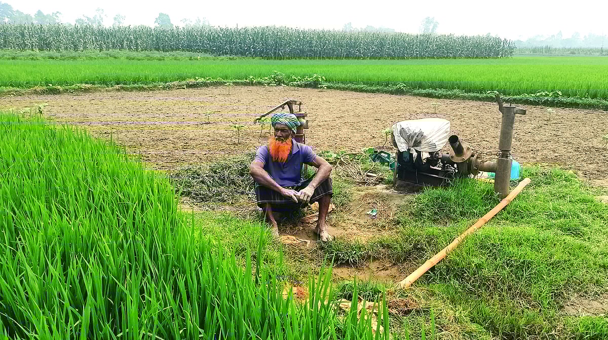 খেতের পাশেই সেচপাম্প থাকলেও ডিজেলের অভাবে চলছে না। বোরো ধানের খেতে সেচ দিতে না পারায় ফলন নিয়ে দুশ্চিন্তায় কৃষক। বুধবার সকালে জামালপুর সদর উপজেলার চরচন্দ্রা এলাকায়