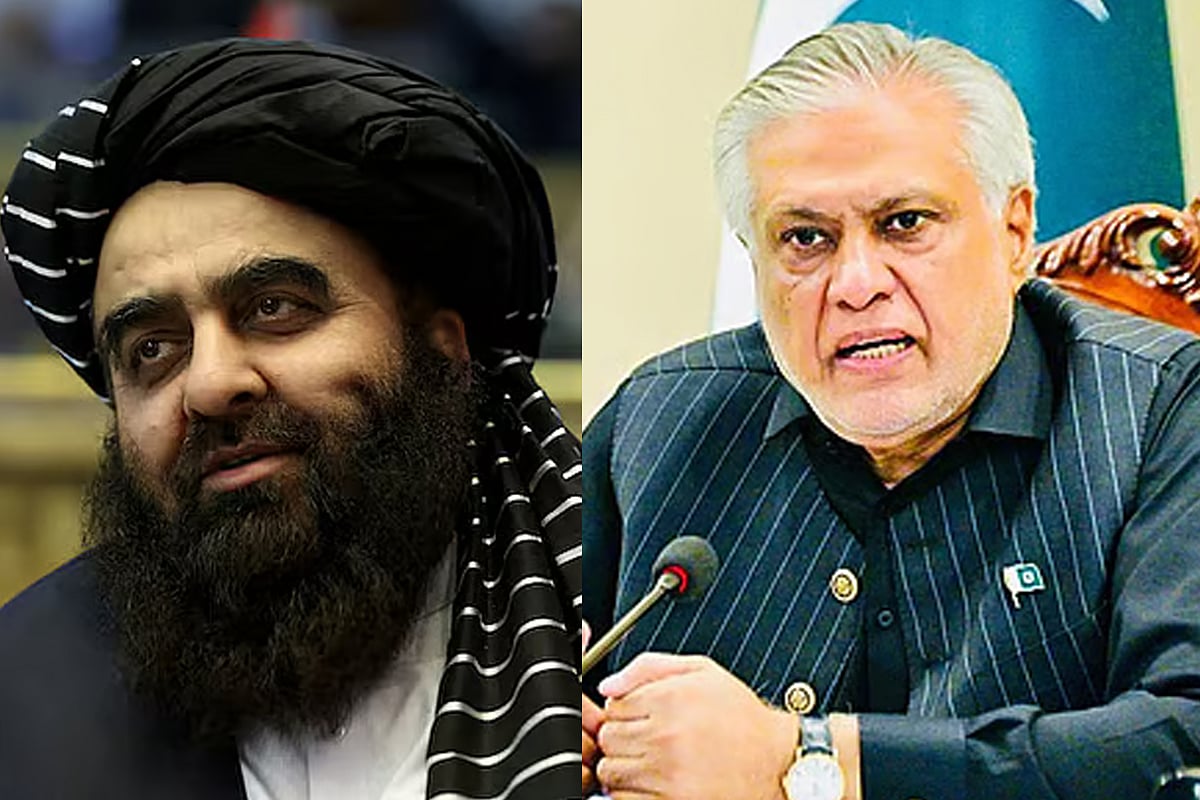 আফগানিস্তানের পররাষ্ট্রমন্ত্রী আমির খান মুত্তাকি ও পাকিস্তানের পররাষ্ট্রমন্ত্রী ইসহাক দার