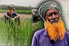 ডিজেল সংকটে পানিশূন্য ফসলের মাঠ