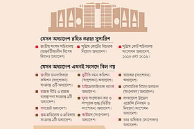 কার্যকারিতা হারাচ্ছে অন্তর্বর্তী সরকারের ২০ অধ্যাদেশ