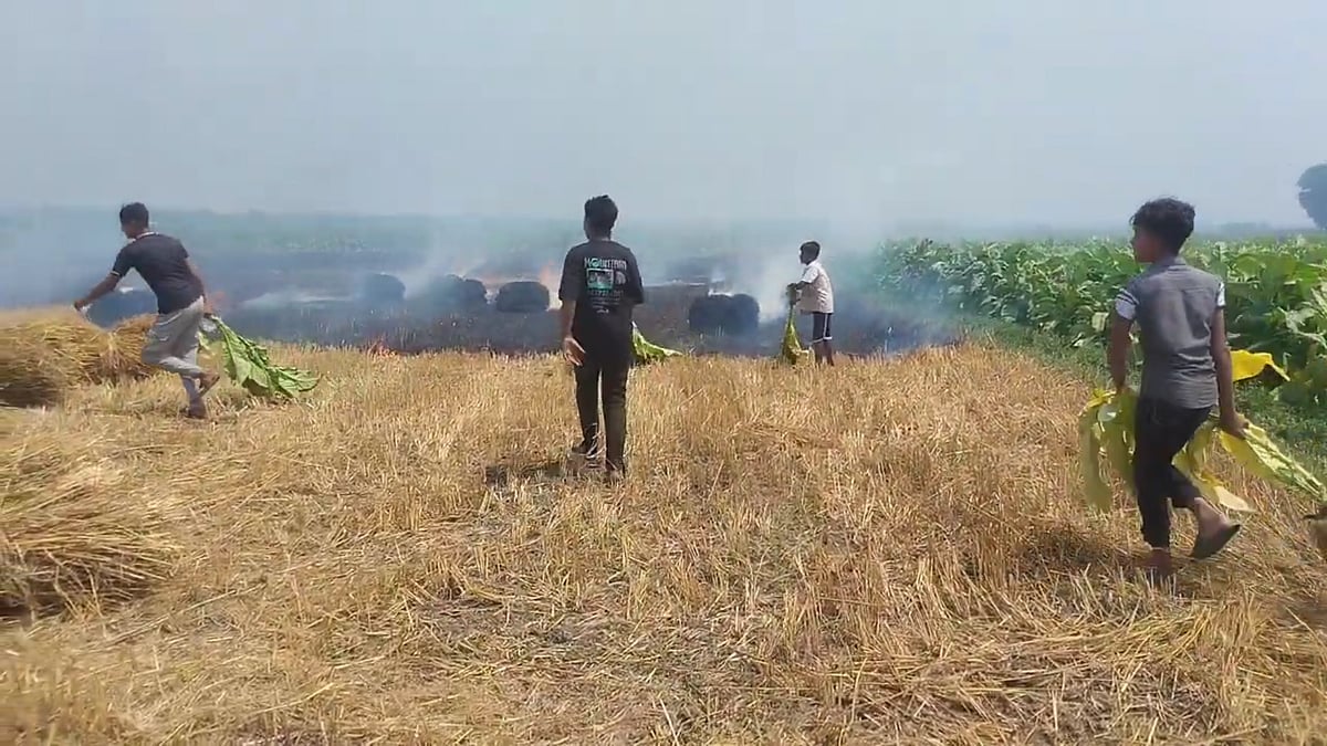 মেহেরপুরের গাংনী উপজেলায় নাড়া পোড়াতে গিয়ে পুড়ে যায় পাকা গম। একপর্যায়ে আগুন নেভানোর চেষ্টা করেন স্থানীয় বাসিন্দারা। আজ দুপুরে উপজেলার চোখতোলা মাঠে