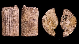 ১২ হাজার বছরের পুরোনো পাশার খোঁজ