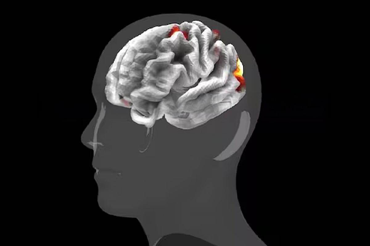 মেটা মানব মস্তিষ্কের নতুন এআই মডেল তৈরি করছে