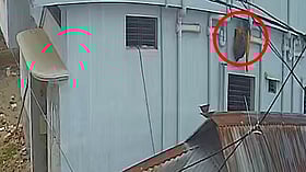 অভিনব কৌশলে বাসায় ঢুকে চুরি, ধরা পড়ল সিসিটিভিতে