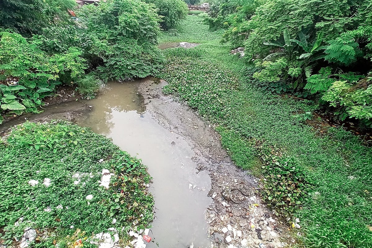 ইছামতী নদীতে জমে আছে বৃষ্টির পানি। এতে ভাসছে ময়লা–আবর্জনা।