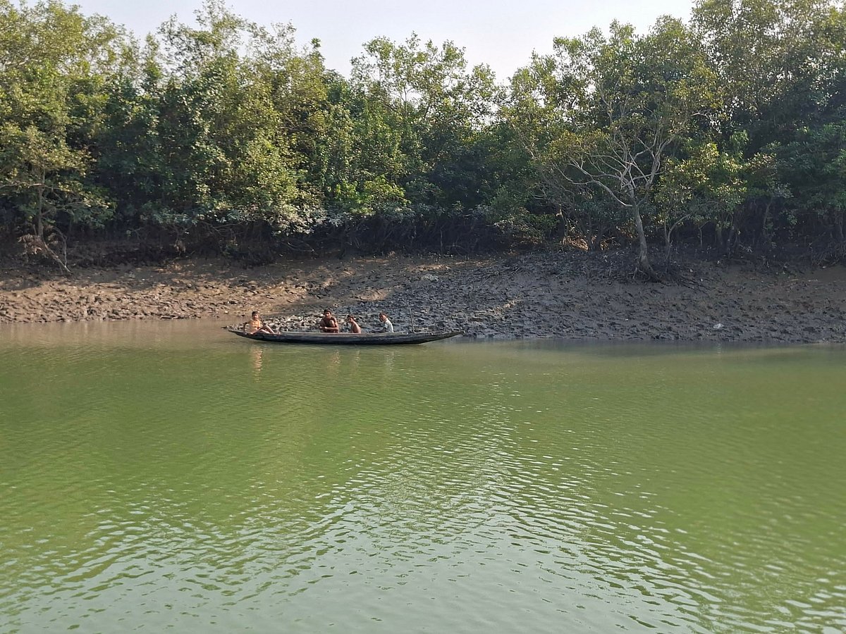 সুন্দরবনে বনদস্যুদের মুক্তিপণ দিয়ে ছাড়া পেলেন ৬ জেলে। গতকাল শনিবার
