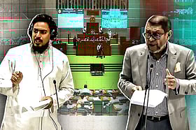 আ.লীগ ও অন্তর্বর্তী সরকারের অদূরদর্শিতার কারণে হামের টিকার সংকট, সংসদে স্বাস্থ্যমন্ত্রী