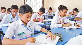 বাক্যের Verb ঠিক করে লেখো