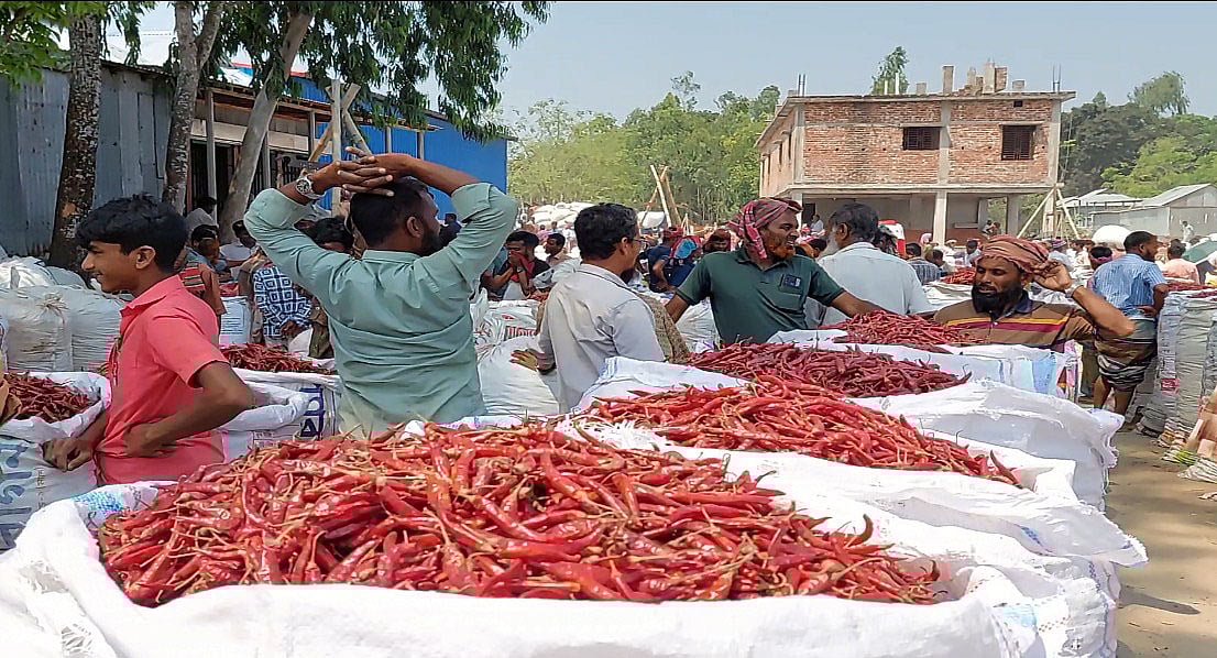 গাইবান্ধার ফুলছড়ি উপজেলার গজারিয়া এলাকায় ঐতিহ্যবাহী মরিচের হাট। মঙ্গলবার সকালে