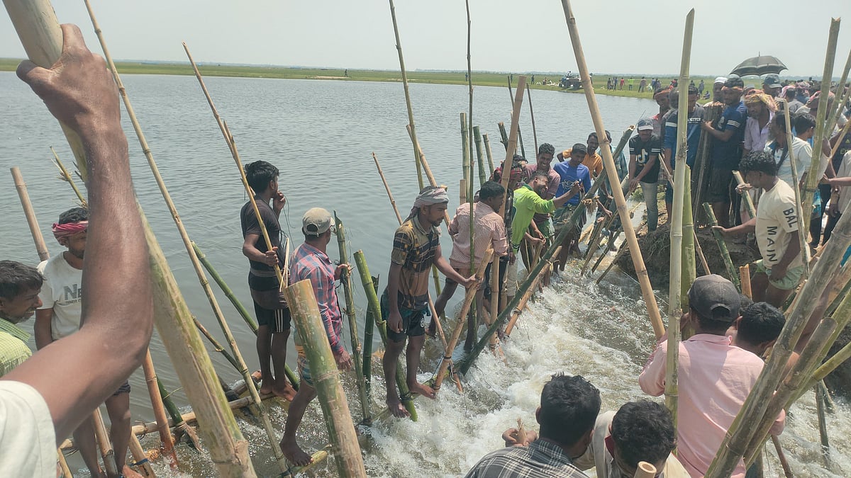 সুনামগঞ্জের দেখার হাওরে একটি বাঁধ ভেঙে ফসল তলিয়ে যাওয়ার সময় সেটি রক্ষায় কাজ করেন হাজারো কৃষক। শনিবার দুপুরে