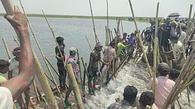 পানির তোড়ে ভেঙে যাওয়া বাঁধ রক্ষা করলেন হাজারো কৃষক, ফসলের ক্ষতি